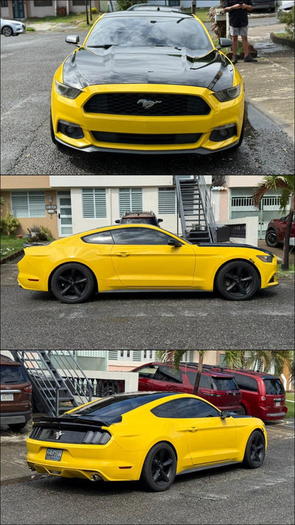 Full Vinyl Wraps